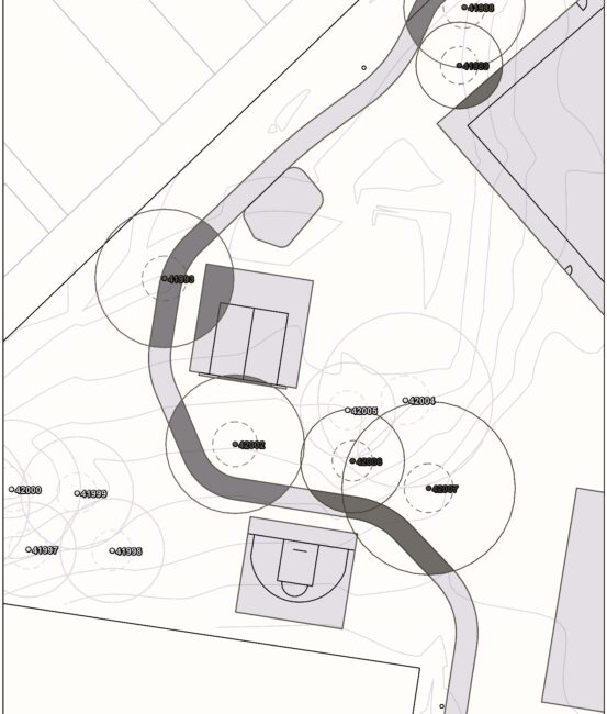 Adamstown Park Upgrade