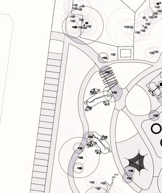 Bareena Park Upgrade (Canley Vale)
