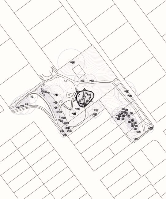 Empress Reserve Upgrade (Hurstville)