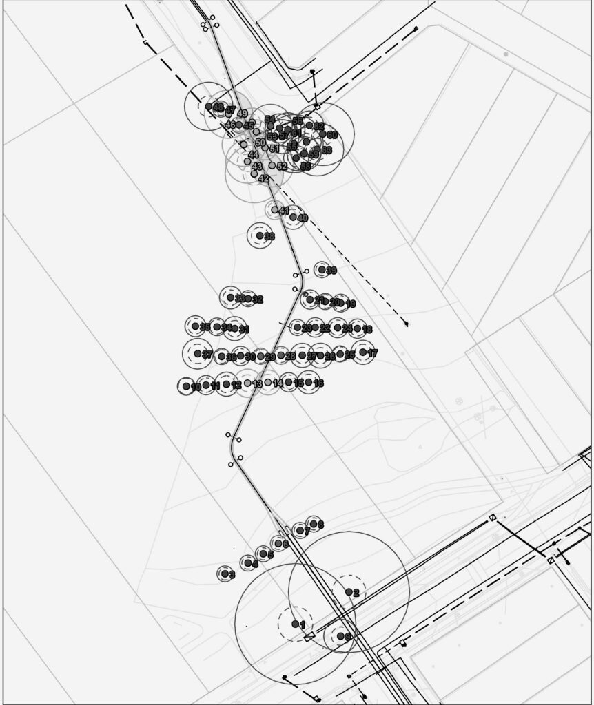 M6 Road Upgrade - Tree Survey