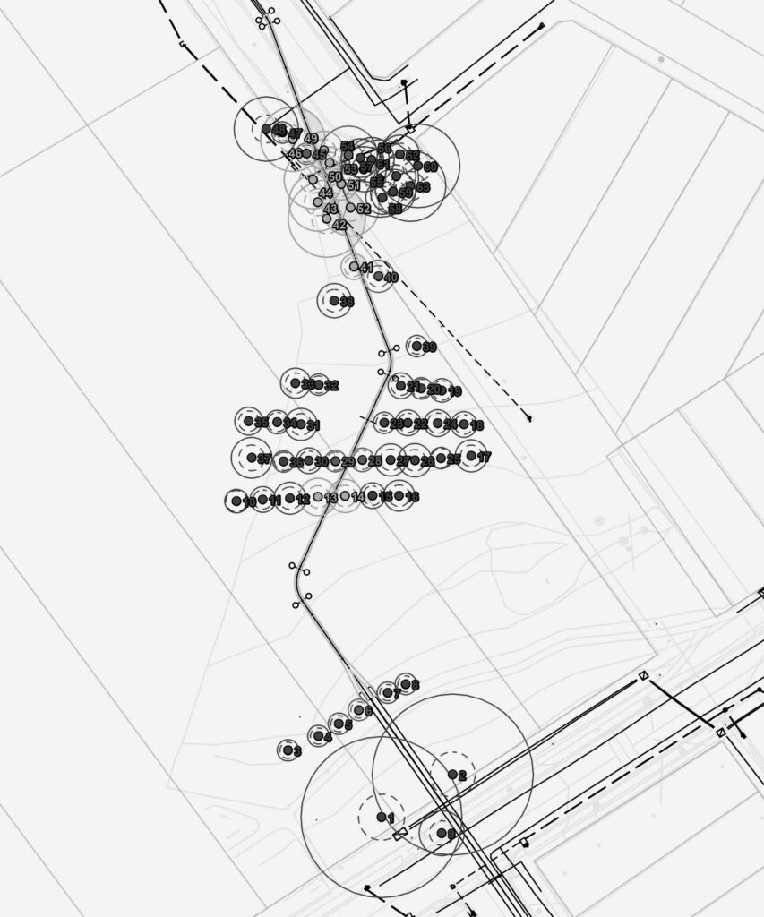 M6 Road Upgrade - Tree Survey