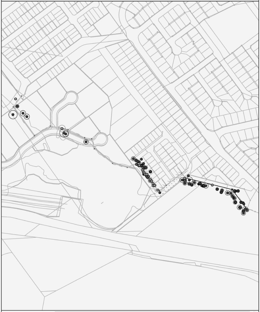 Narellan Road Waste Water Lead-In - Tree Survey