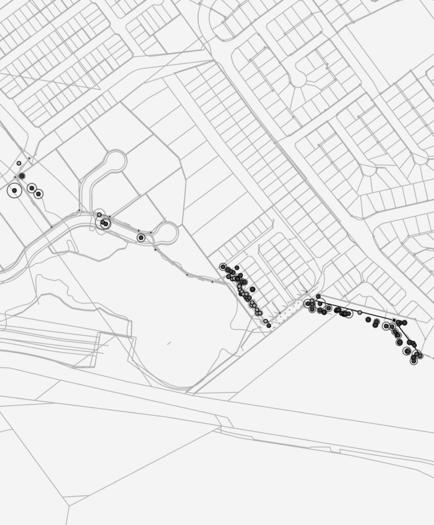 Narellan Road Waste Water Lead-In - Tree Survey