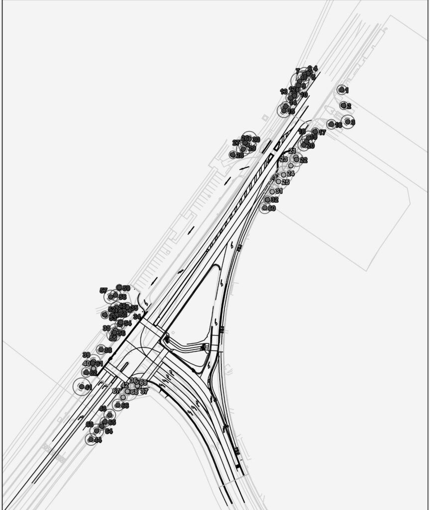 The Wentworth Point Intersection Upgrade addressed congestion and safety issues at the intersection of Hill Road and Bennelong Parkway, a key entranceway to the Wentworth Point Peninsula. - Tree Survey