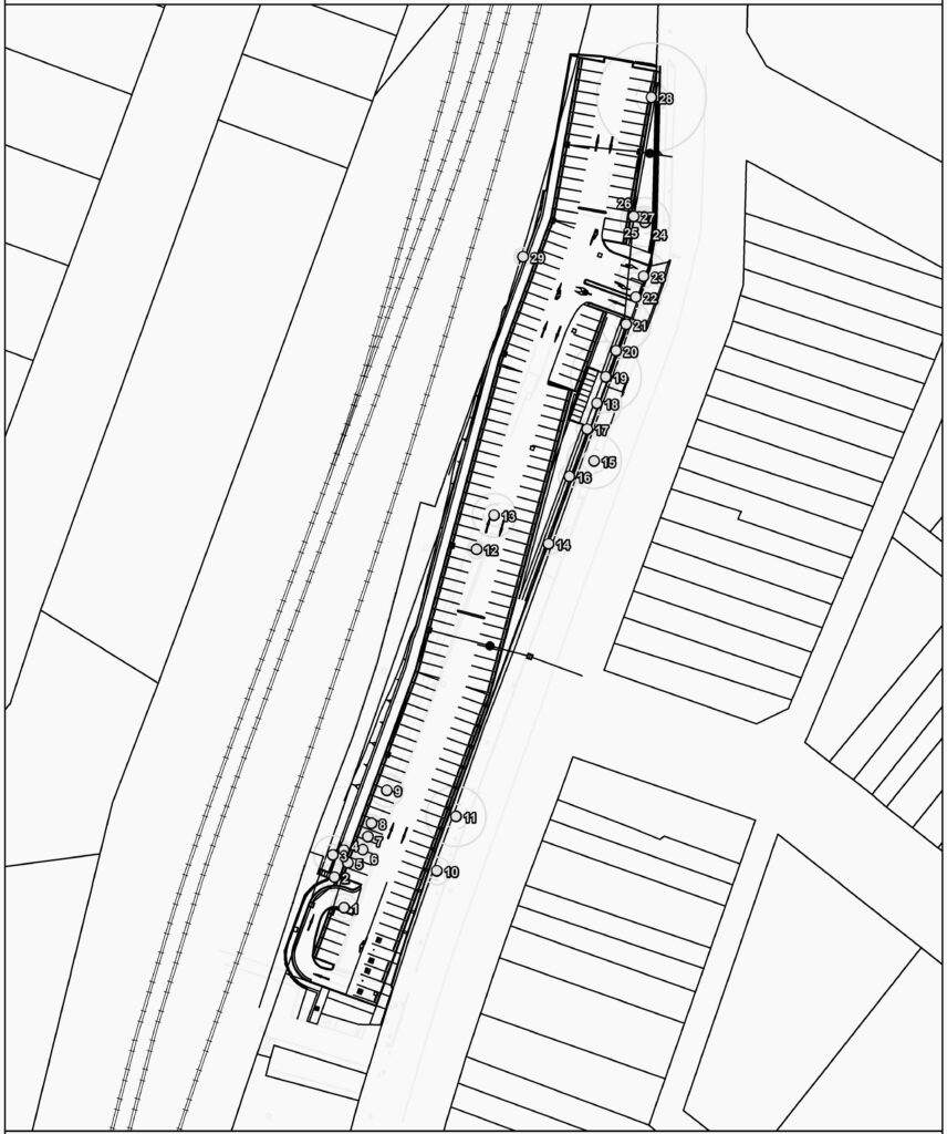 West Ryde Commuter Car Park - Tree Survey