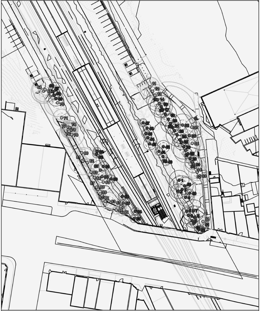 Yagoona Station Upgrade - Tree Survey