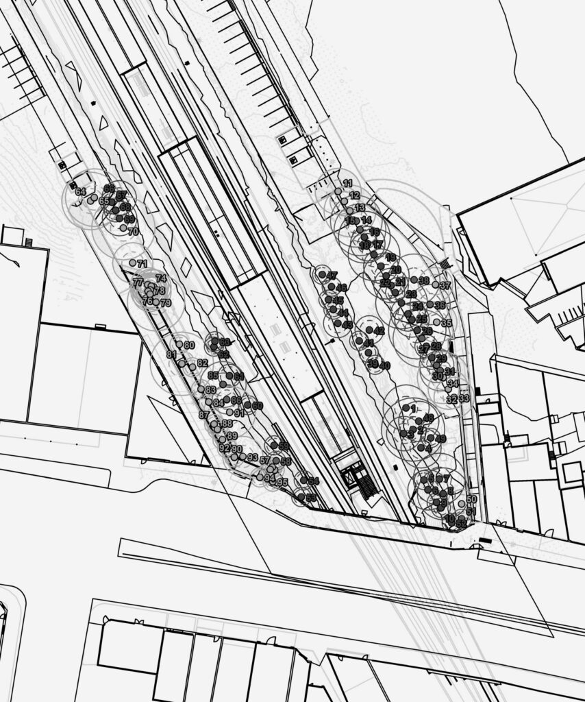 Yagoona Station Upgrade - Tree Survey
