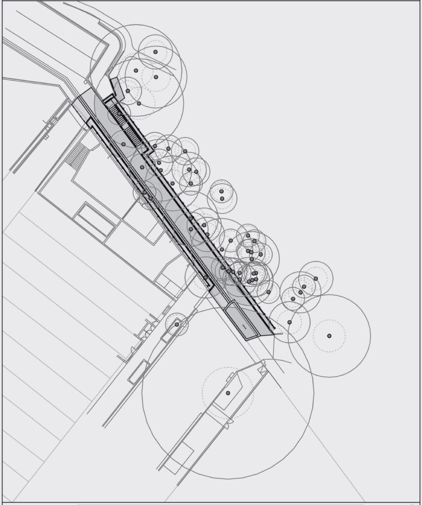 Cecil Street Stormwater Upgrade