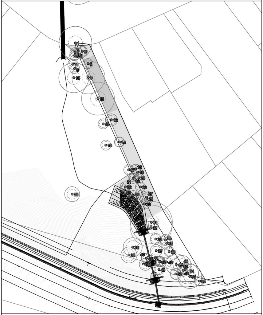 Memorial Drive Embankment Remediation